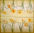 041 Daffodils,  Hyacinths,  Maiglöckchen, Crocus - yellow